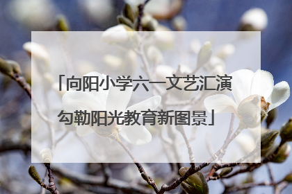 向阳小学六一文艺汇演勾勒阳光教育新图景