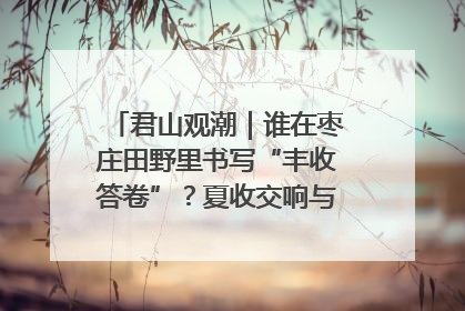 君山观潮｜谁在枣庄田野里书写“丰收答卷”？夏收交响与特色产业，共绘乡村振兴新图景