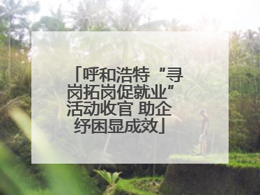 呼和浩特“寻岗拓岗促就业”活动收官 助企纾困显成效