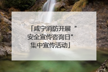 咸宁消防开展“安全宣传咨询日”集中宣传活动
