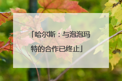 哈尔斯：与泡泡玛特的合作已终止