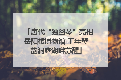 唐代“独幽琴”亮相岳阳楼博物馆 千年琴韵洞庭湖畔苏醒