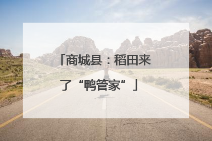 商城县：稻田来了“鸭管家”
