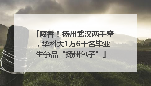 喷香！扬州武汉两手牵，华科大1万6千名毕业生争品“扬州包子”