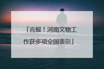喜报！河南文物工作获多项全国表彰