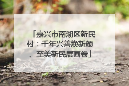 嘉兴市南湖区新民村：千年兴善焕新颜、至美新民展画卷
