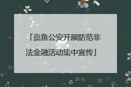 嘉鱼公安开展防范非法金融活动集中宣传