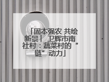 固本强农 共绘新景 ︳卫辉市南社村：蔬菜村的“链”动力