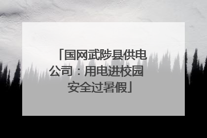 国网武陟县供电公司：用电进校园  安全过暑假
