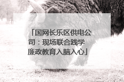 国网长乐区供电公司：现场联合践学 廉政教育入脑入心