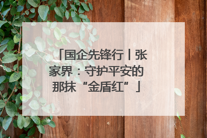 国企先锋行丨张家界：守护平安的那抹“金盾红”