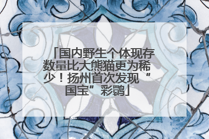 国内野生个体现存数量比大熊猫更为稀少！扬州首次发现“国宝”彩鹮