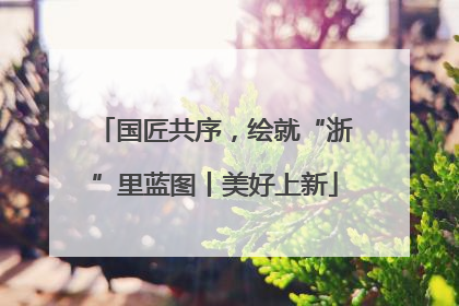 国匠共序，绘就“浙”里蓝图丨美好上新