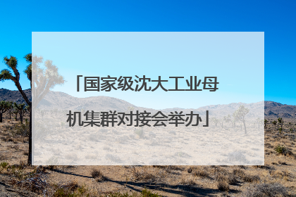 国家级沈大工业母机集群对接会举办