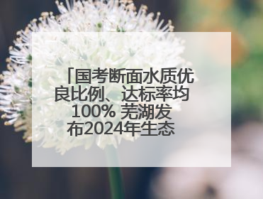 国考断面水质优良比例、达标率均100% 芜湖发布2024年生态环境状况