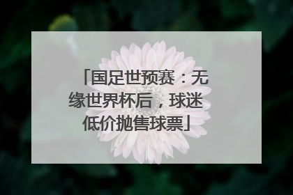 国足世预赛：无缘世界杯后，球迷低价抛售球票