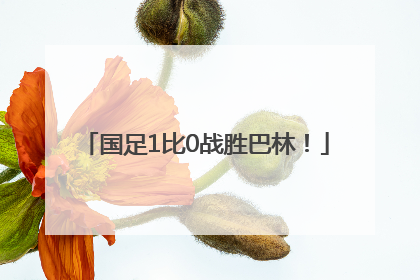 国足1比0战胜巴林！