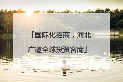 国际化招商，河北广邀全球投资客商
