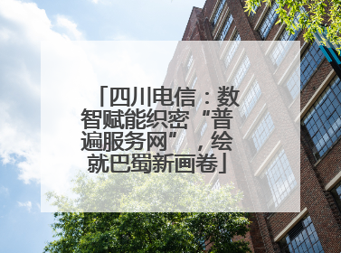 四川电信：数智赋能织密“普遍服务网”，绘就巴蜀新画卷