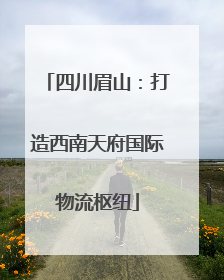 四川眉山：打造西南天府国际物流枢纽