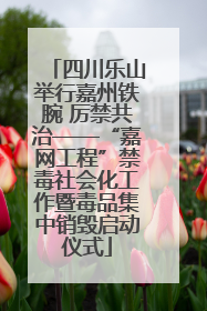 四川乐山举行嘉州铁腕 厉禁共治——“嘉网工程”禁毒社会化工作暨毒品集中销毁启动仪式