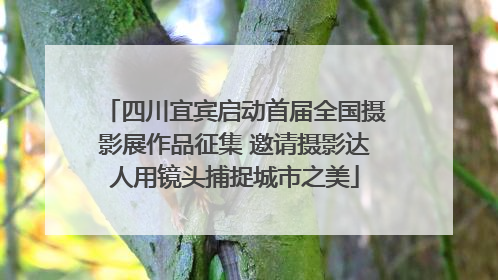 四川宜宾启动首届全国摄影展作品征集 邀请摄影达人用镜头捕捉城市之美