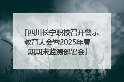 四川长宁职校召开警示教育大会暨2025年春期期末监测部署会