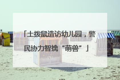 土拨鼠造访幼儿园，警民协力智擒“萌兽”