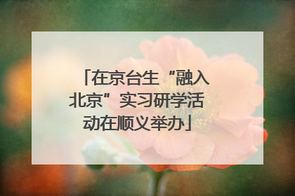 在京台生“融入北京”实习研学活动在顺义举办