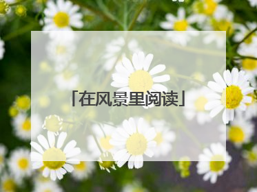 在风景里阅读