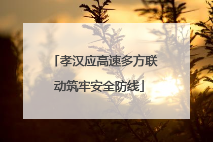 孝汉应高速多方联动筑牢安全防线