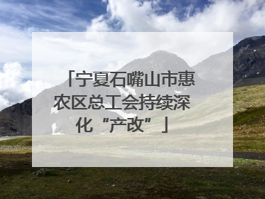 宁夏石嘴山市惠农区总工会持续深化“产改”