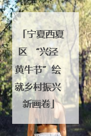 宁夏西夏区 “兴泾黄牛节”绘就乡村振兴新画卷