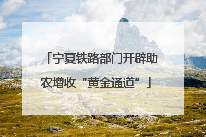 宁夏铁路部门开辟助农增收“黄金通道”