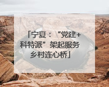 宁夏：“党建+科特派”架起服务乡村连心桥