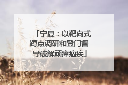 宁夏：以靶向式蹲点调研和登门督导破解顽瘴痼疾