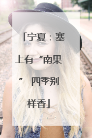 宁夏：塞上有“南果” 四季别样香