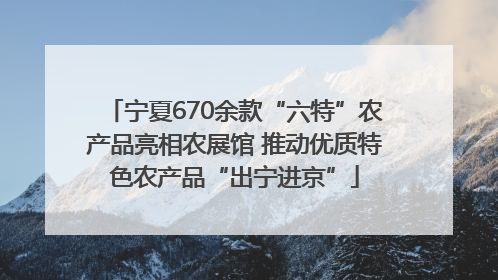 宁夏670余款“六特”农产品亮相农展馆 推动优质特色农产品“出宁进京”