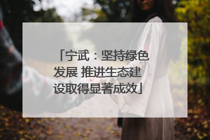 宁武：坚持绿色发展 推进生态建设取得显著成效