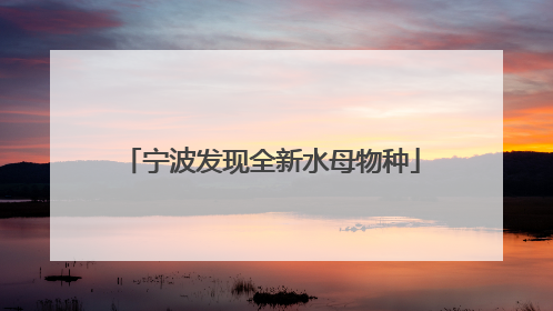 宁波发现全新水母物种