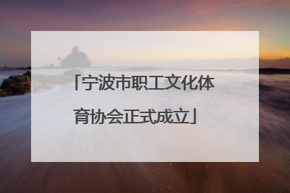 宁波市职工文化体育协会正式成立