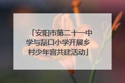 安阳市第二十一中学与磊口小学开展乡村少年宫共建活动