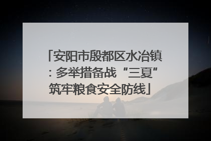 安阳市殷都区水冶镇：多举措备战“三夏” 筑牢粮食安全防线