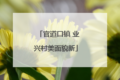 官道口镇 业兴村美面貌新