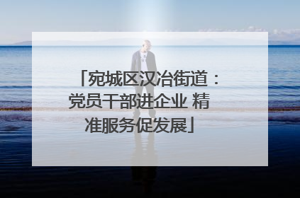 宛城区汉冶街道：党员干部进企业 精准服务促发展