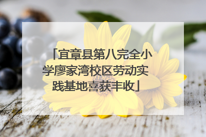 宜章县第八完全小学廖家湾校区劳动实践基地喜获丰收