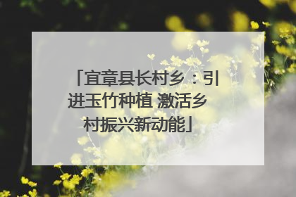 宜章县长村乡：引进玉竹种植 激活乡村振兴新动能