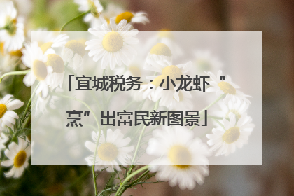 宜城税务：小龙虾“烹”出富民新图景