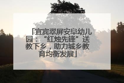 宜宾翠屏安阜幼儿园：“红烛先锋”送教下乡，助力城乡教育均衡发展