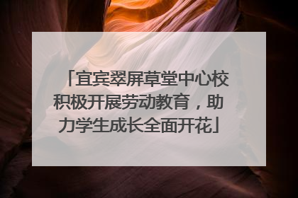 宜宾翠屏草堂中心校积极开展劳动教育，助力学生成长全面开花